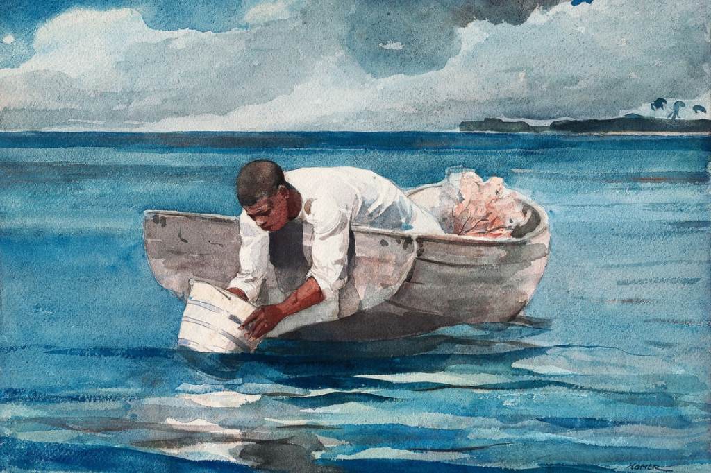 The Water Fan